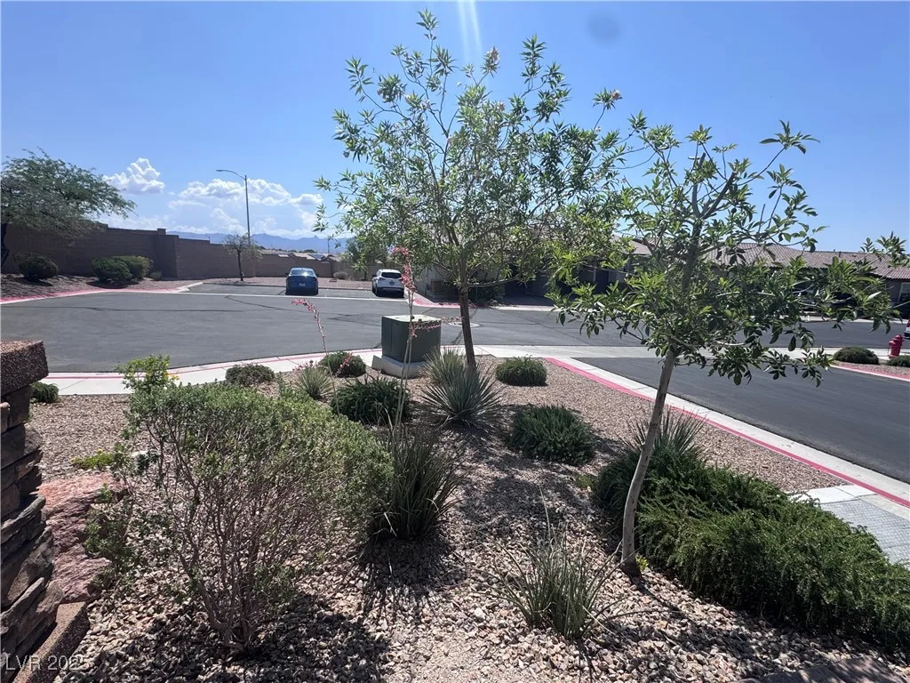 2653 Crystal Blue Street — photo 3
