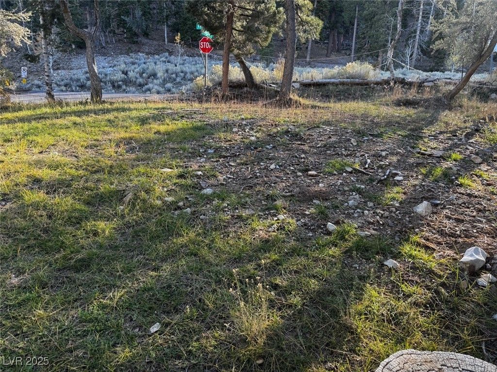 4834 Knotty Pine Way — photo 4