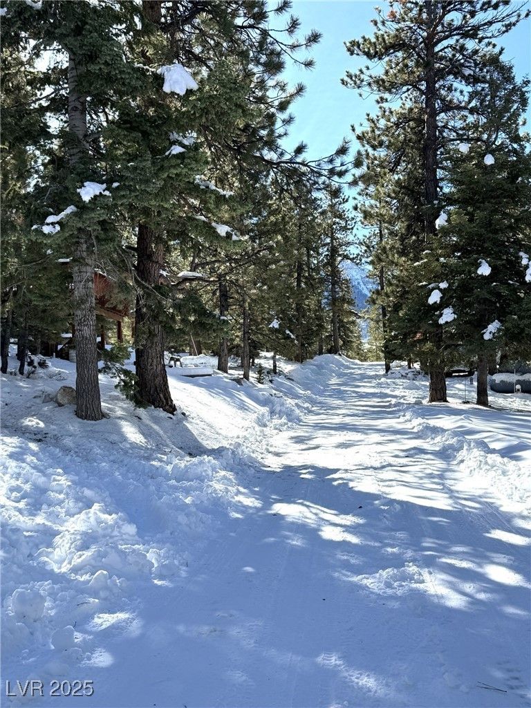 Photo 28