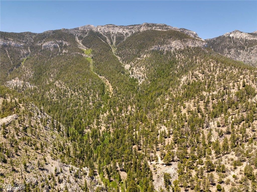 4085 Cougar Ridge Trail — photo 2