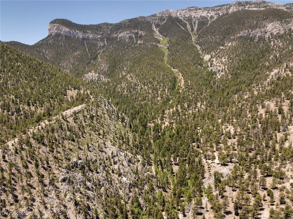 4085 Cougar Ridge Trail — photo 3