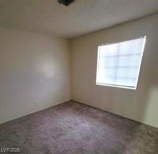 2813 Cacto Court — photo 4