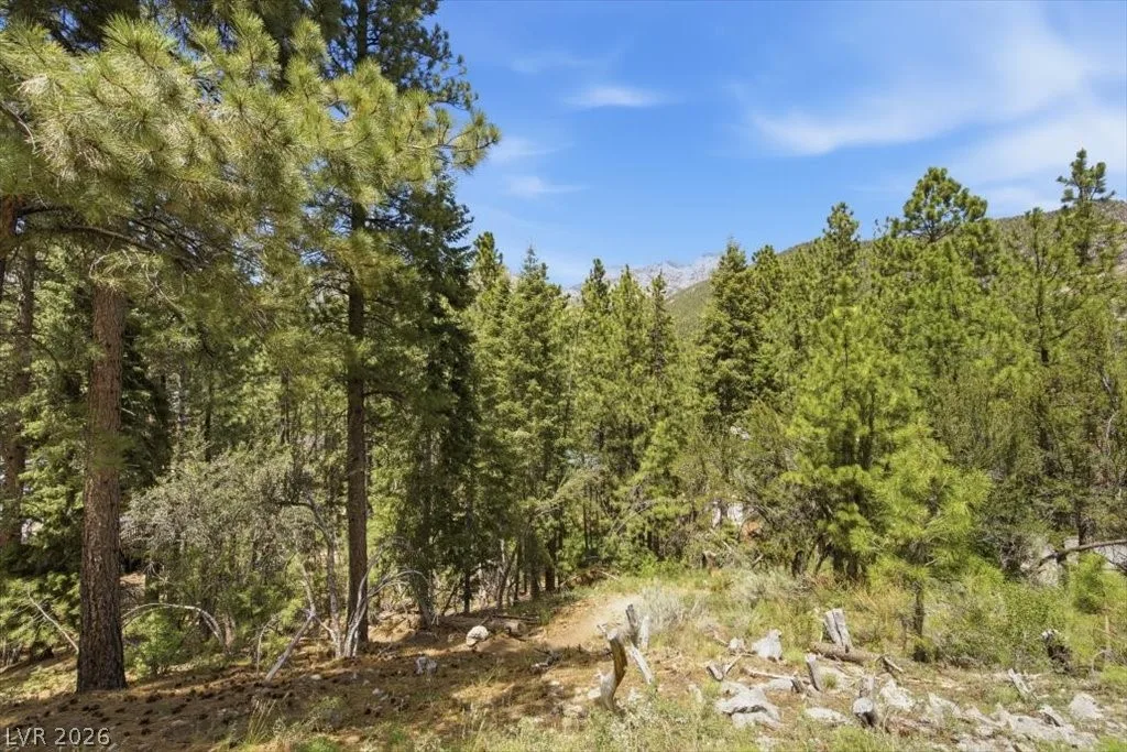 3953 Ski Trail Circle — photo 2