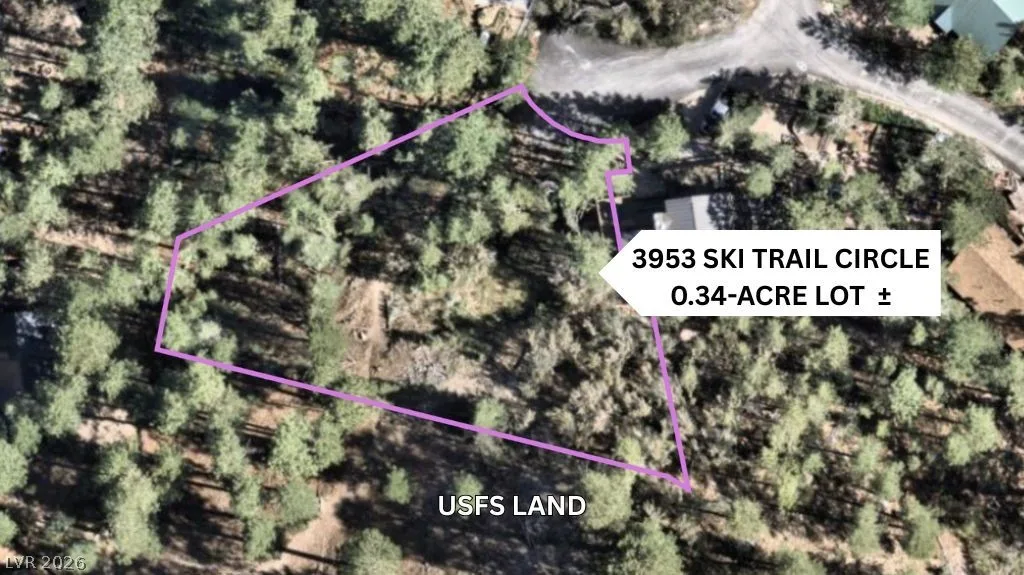 3953 Ski Trail Circle — photo 3