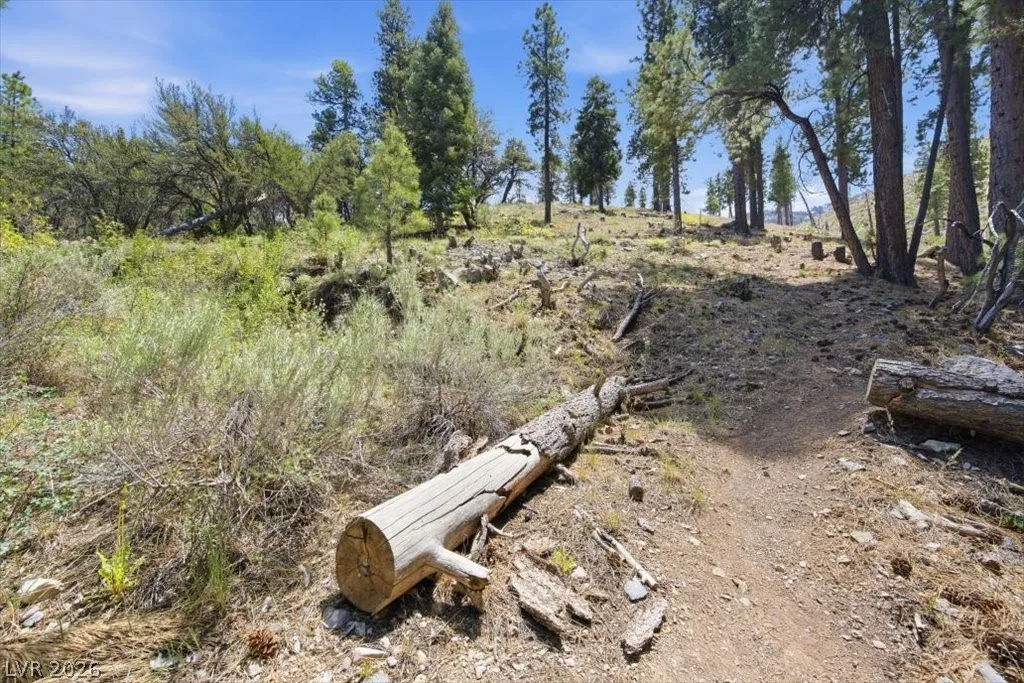 3953 Ski Trail Circle — photo 5