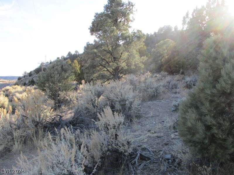 NV Hwy 322 (30.15 Ac) — photo 4 of 13