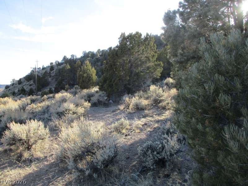 NV Hwy 322 (30.15 Ac) — photo 5 of 13