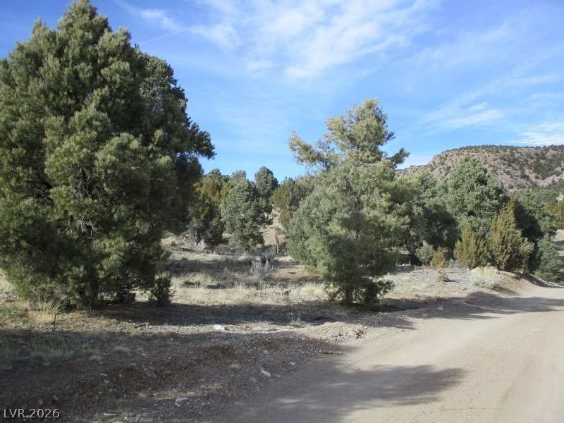 NV Hwy 322 (13.753 Ac) — photo 4 of 11
