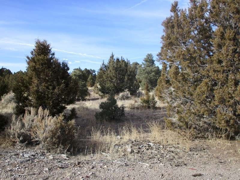 NV Hwy 322 (13.753 Ac) — photo 5 of 11