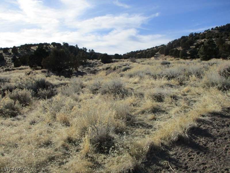 NV Hwy 322 (2.19 Ac) — photo 3 of 5