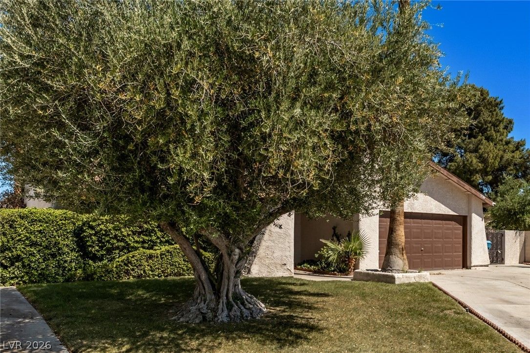 3709 Pamplona Circle — photo 3