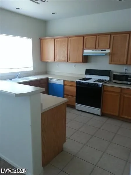 5451 Autumn Crocus Court — photo 4