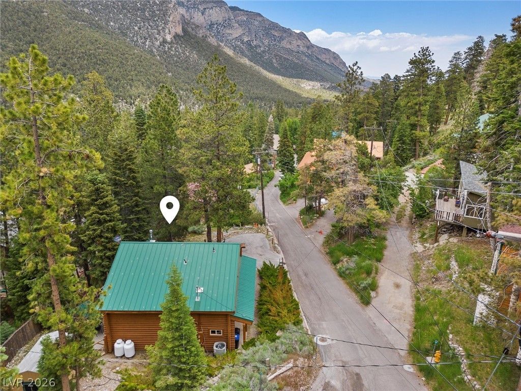 401 Alpine Way — photo 3