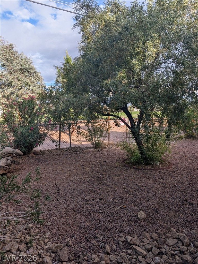 Photo 31