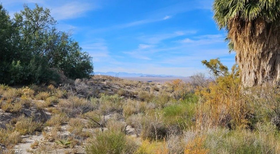 Gold Butte Road — photo 4
