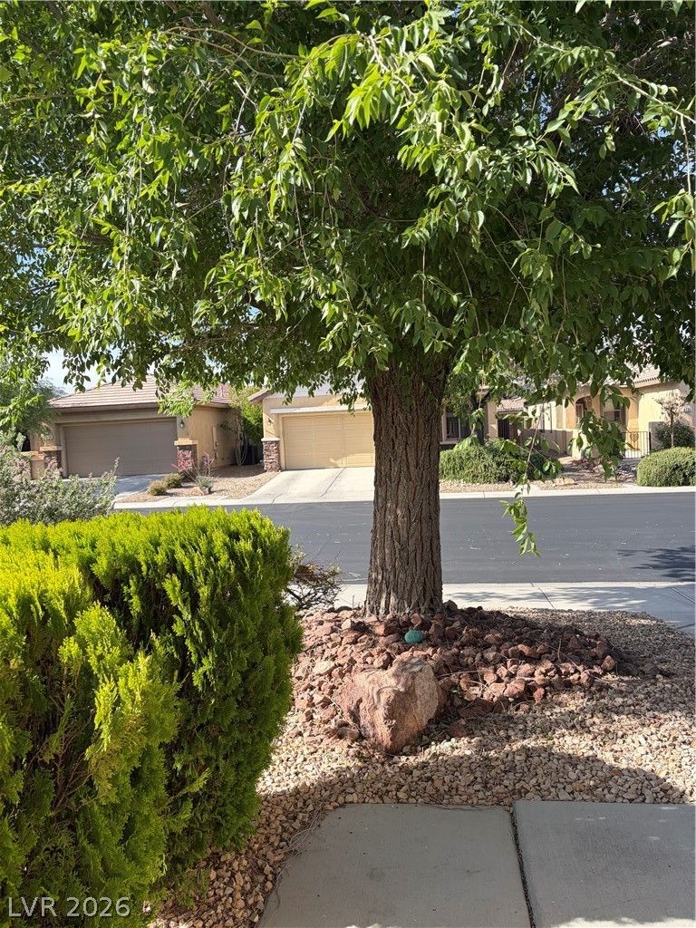 6131 Saddle Horse Avenue — photo 4