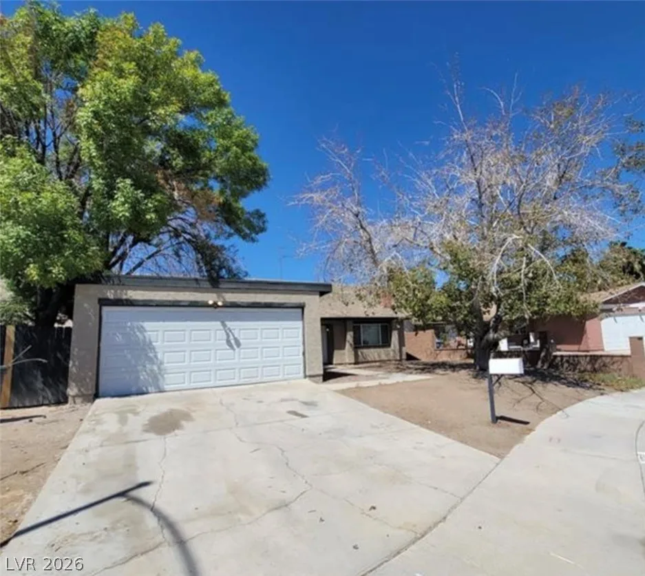 3755 Chutney Street — photo 5