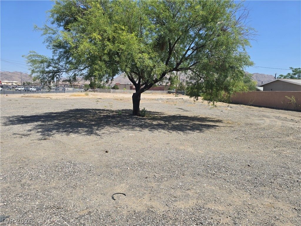 Christy & Lake Mead — photo 4 of 11