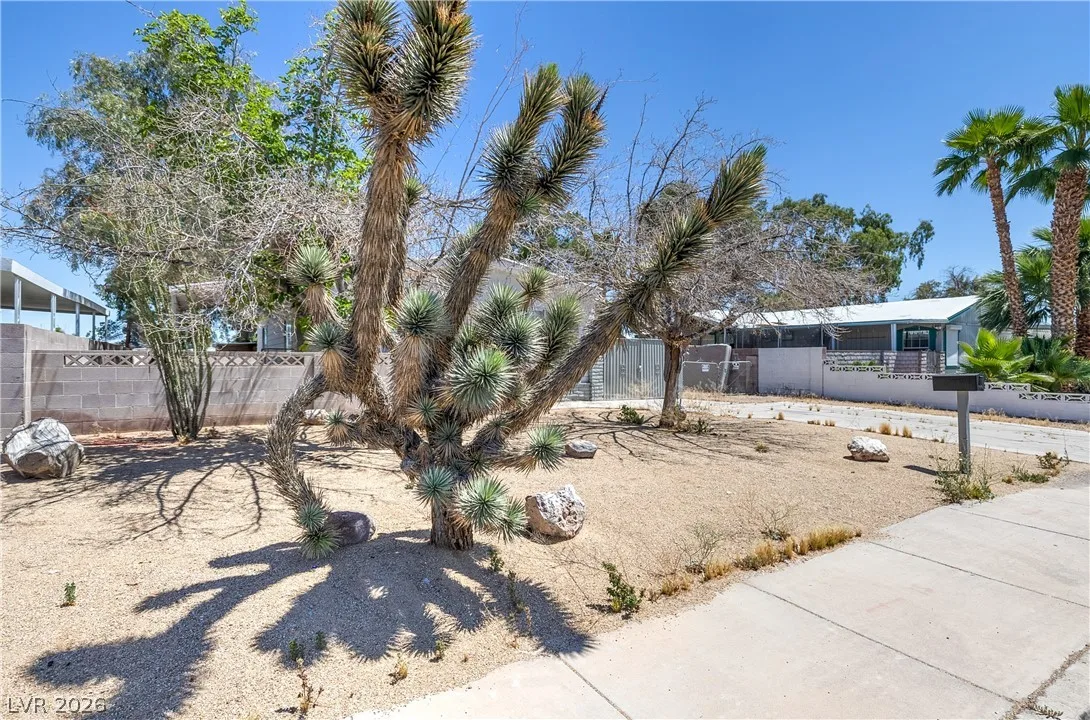 3650 Arbolado Drive — photo 3