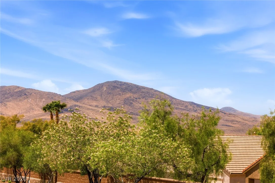 2502 Stardust Valley Drive — photo 3