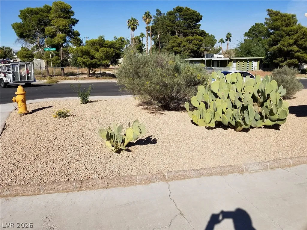 1516 SAN PEDRO Avenue — photo 4