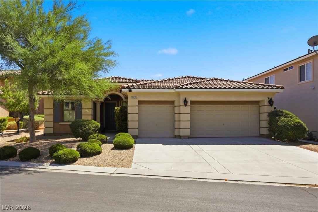 10024 Wild Calla Street — photo 2