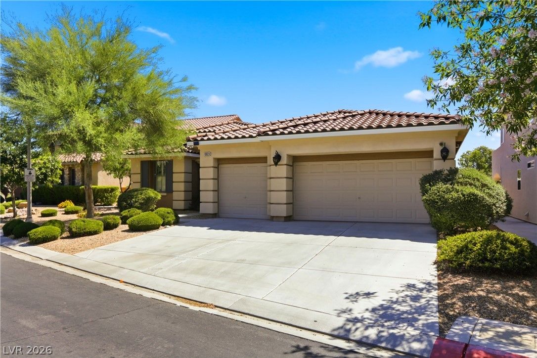 10024 Wild Calla Street — photo 3