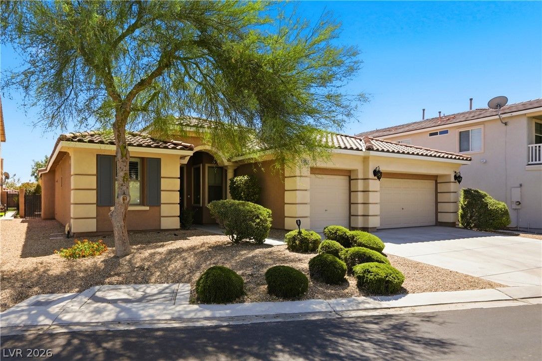 10024 Wild Calla Street — photo 4