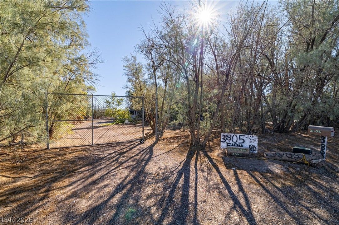 3805 West Amargosa Farm Road — photo 3