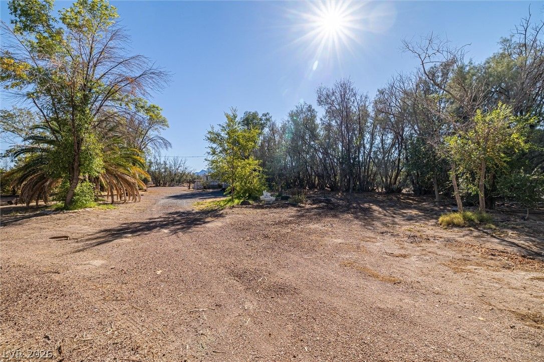 3805 West Amargosa Farm Road — photo 4