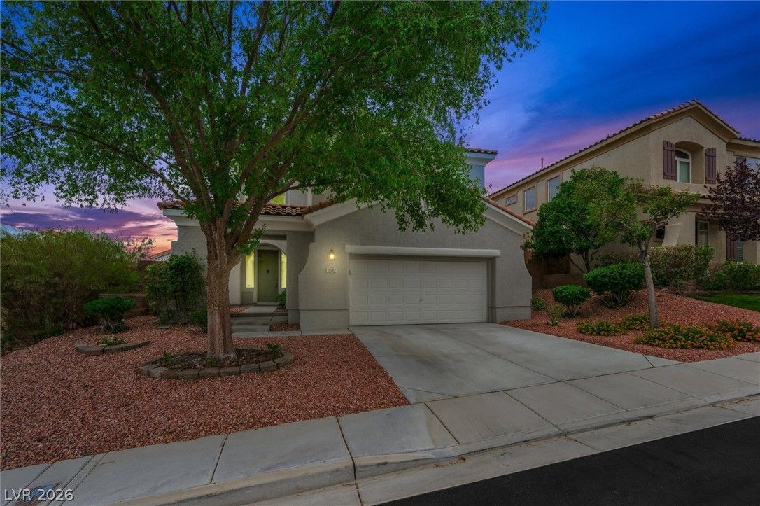 11132 Ferragamo Court — photo 2 of 51