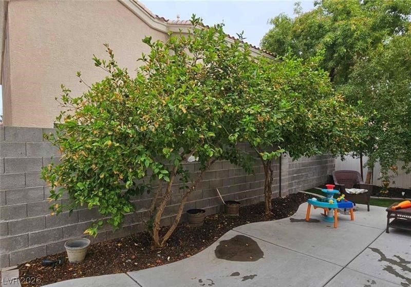 5901 Aimless Street — photo 5