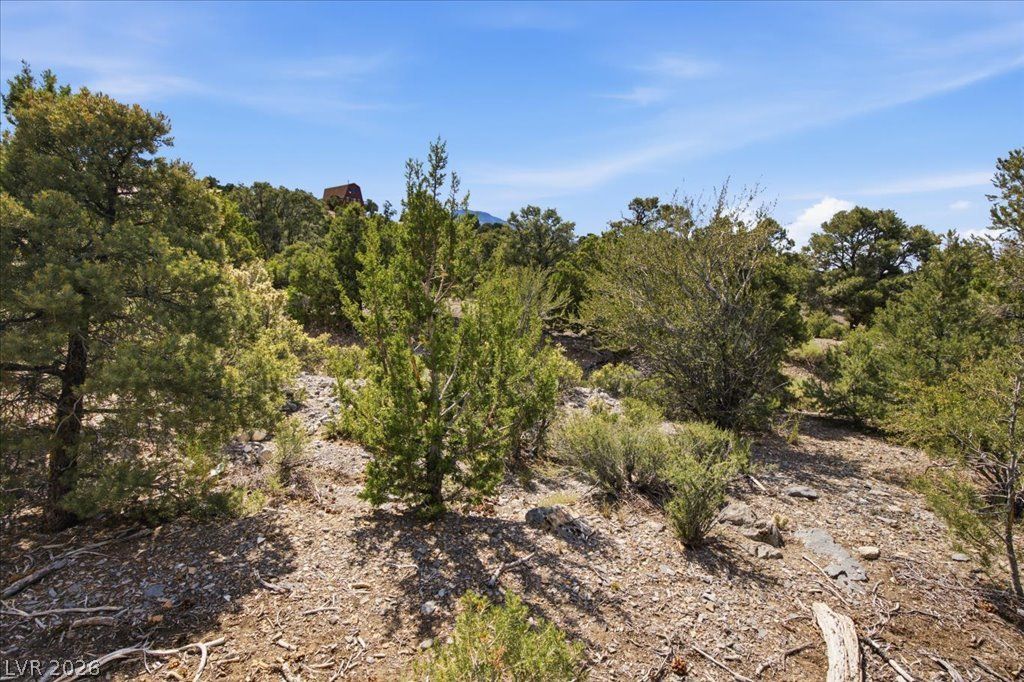 155 Oak Trail Circle — photo 3