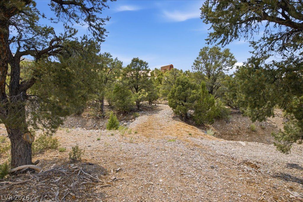 155 Oak Trail Circle — photo 4