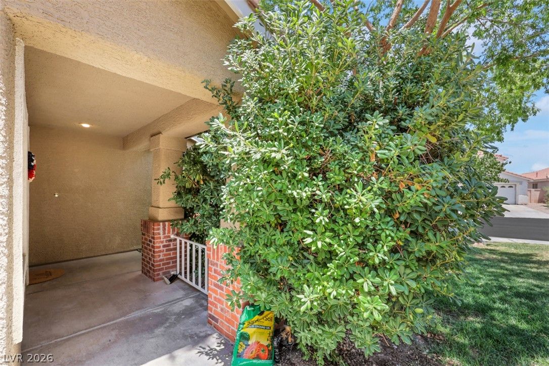 21 Tanglewood Drive — photo 3