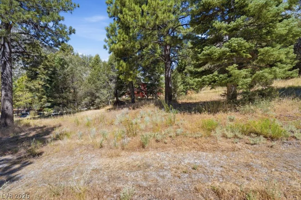 248 Crestview Drive — photo 5