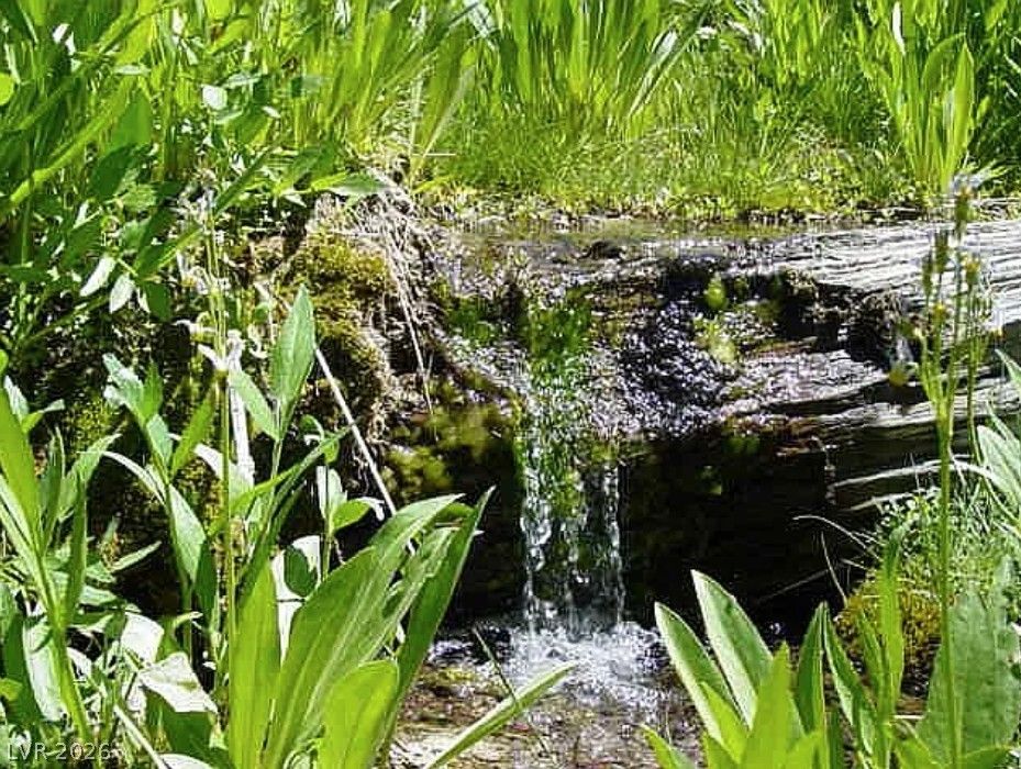 0 Deer Creek — photo 3