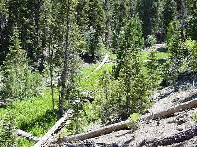 Photo 7