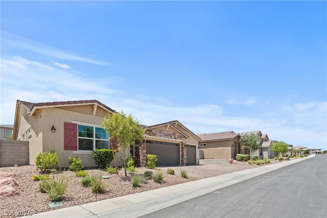 1410 Cattail Falls Street — photo 4
