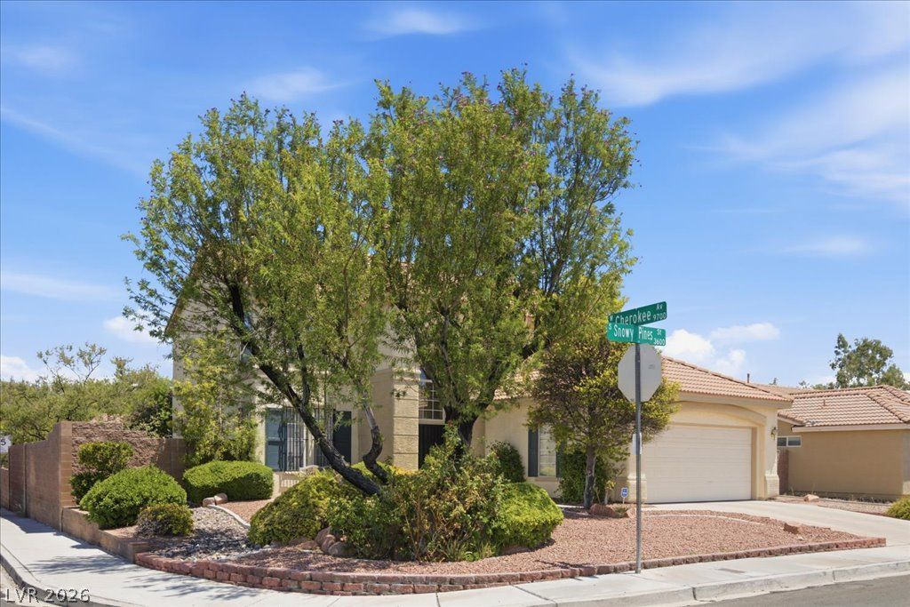 3624 Snowy Pines Street — photo 3 of 38