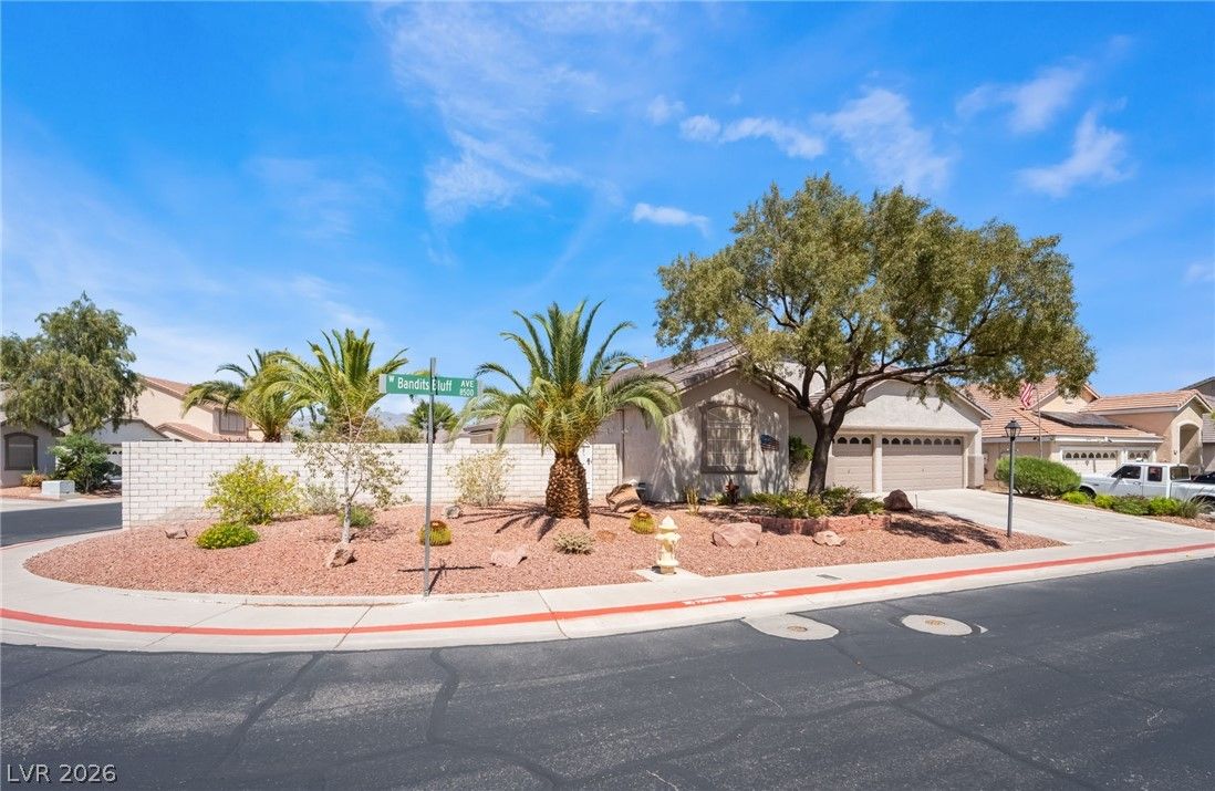8528 Bandits Bluff Avenue — photo 3