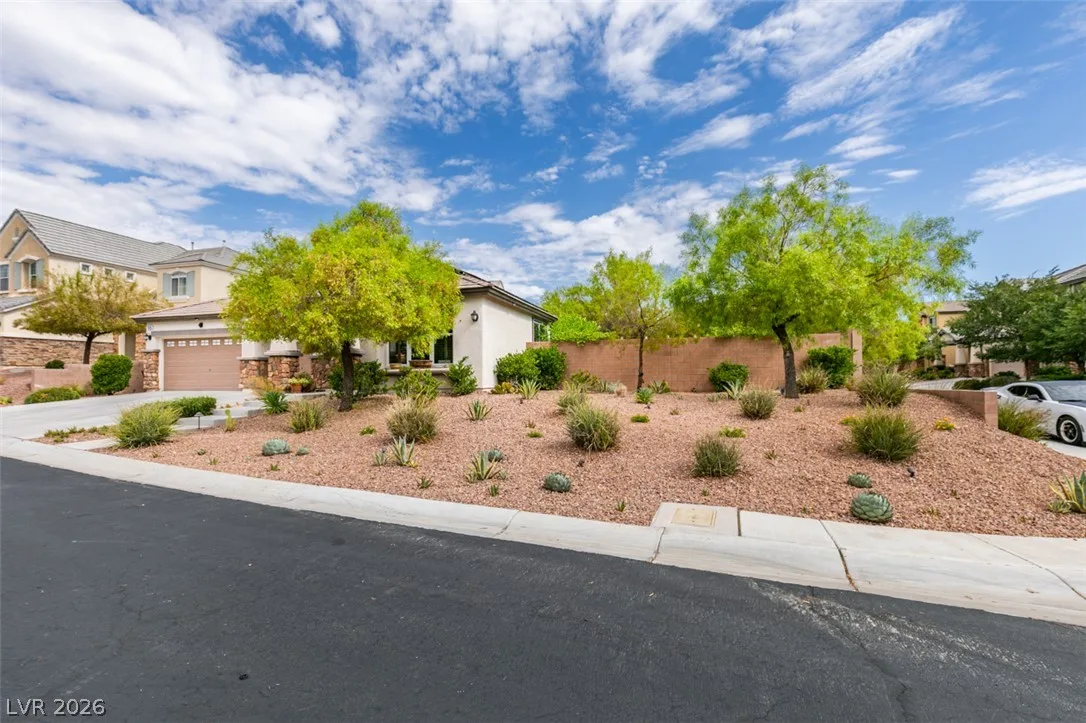 10206 Timberline Peak Avenue — photo 2