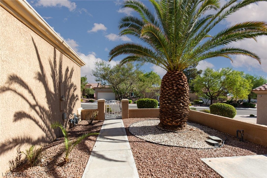 10009 Arbuckle Drive — photo 2