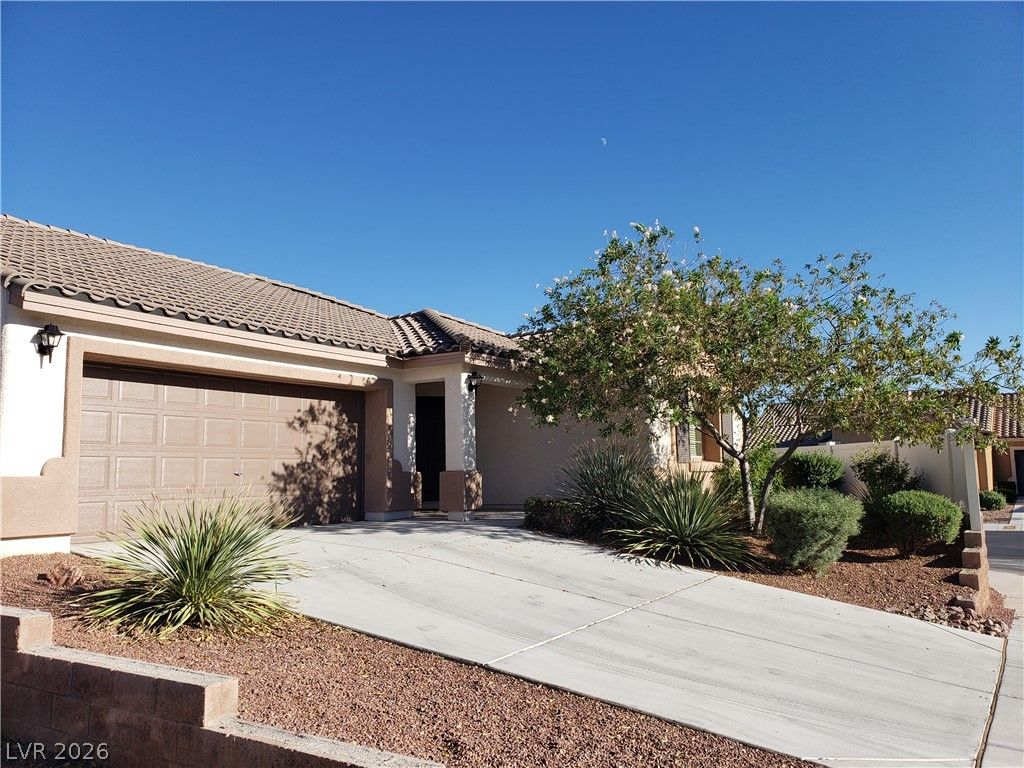7876 CROWNBEARD Street — photo 4