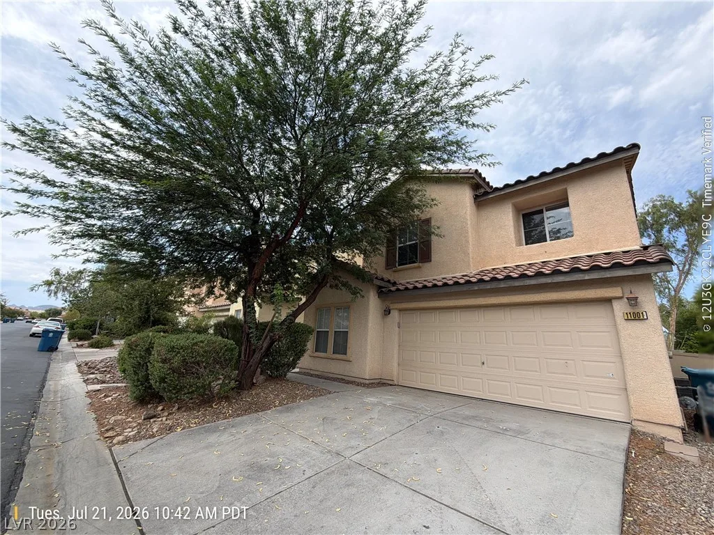 11001 African Sunset Street — photo 2