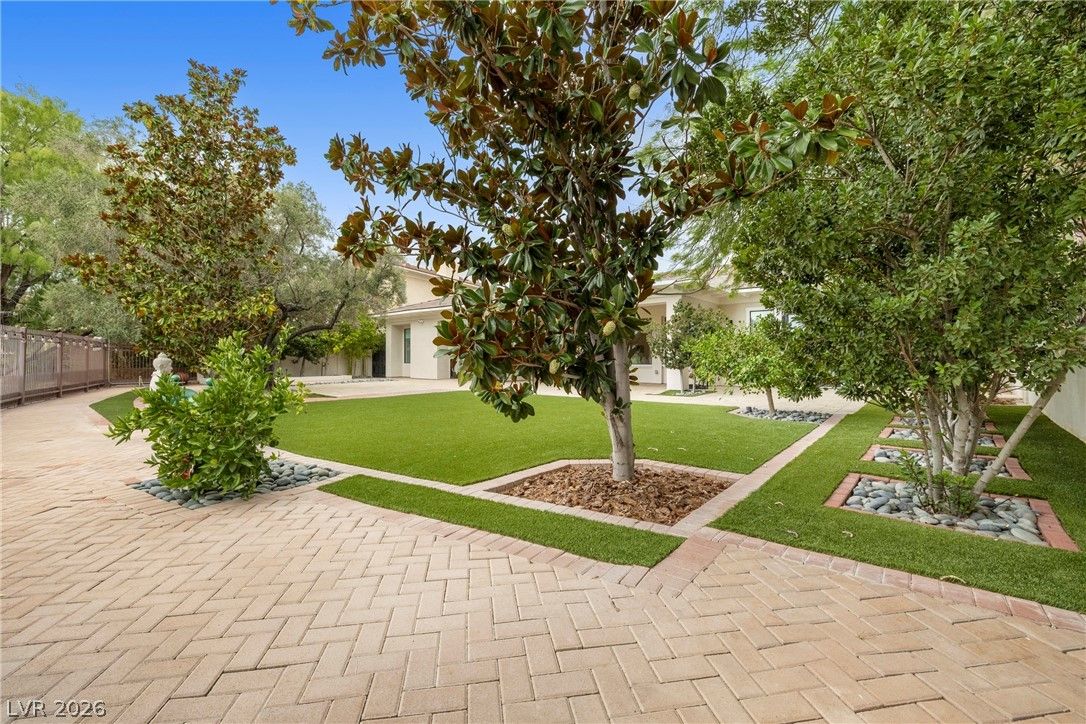 Photo 55