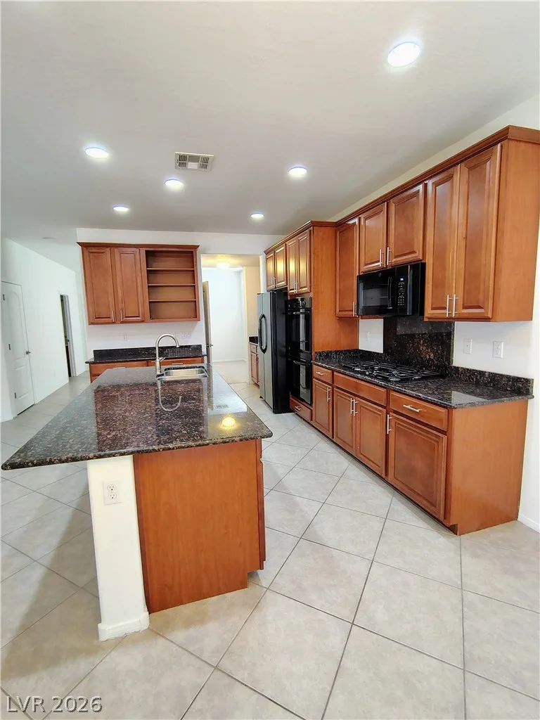 10095 LADY APPLE Drive — photo 4