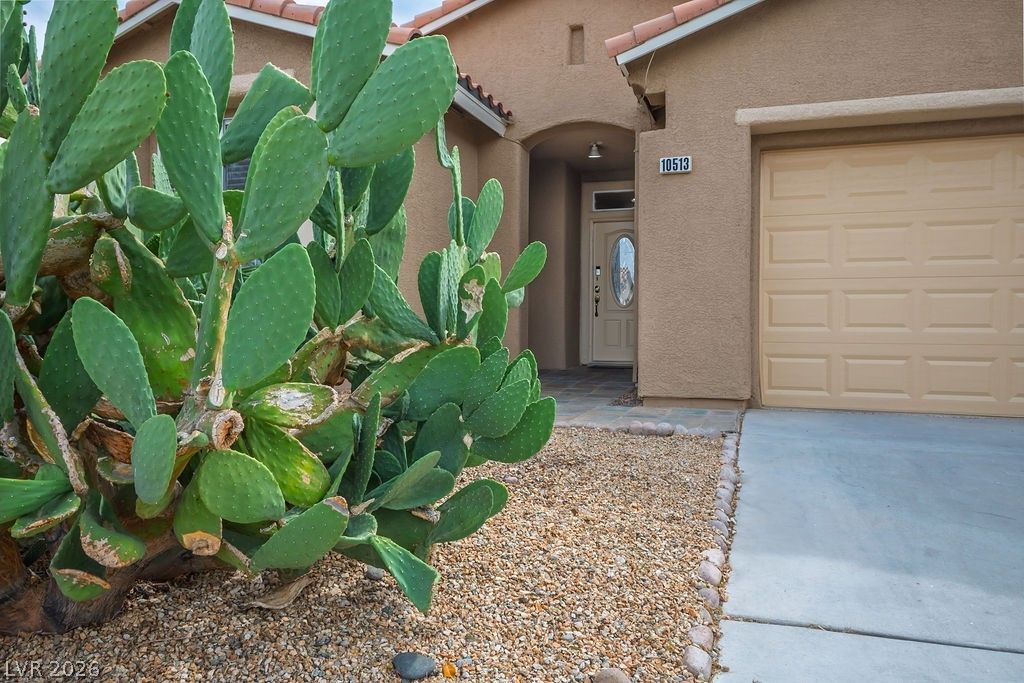 10513 Shanna Trellis Avenue — photo 4