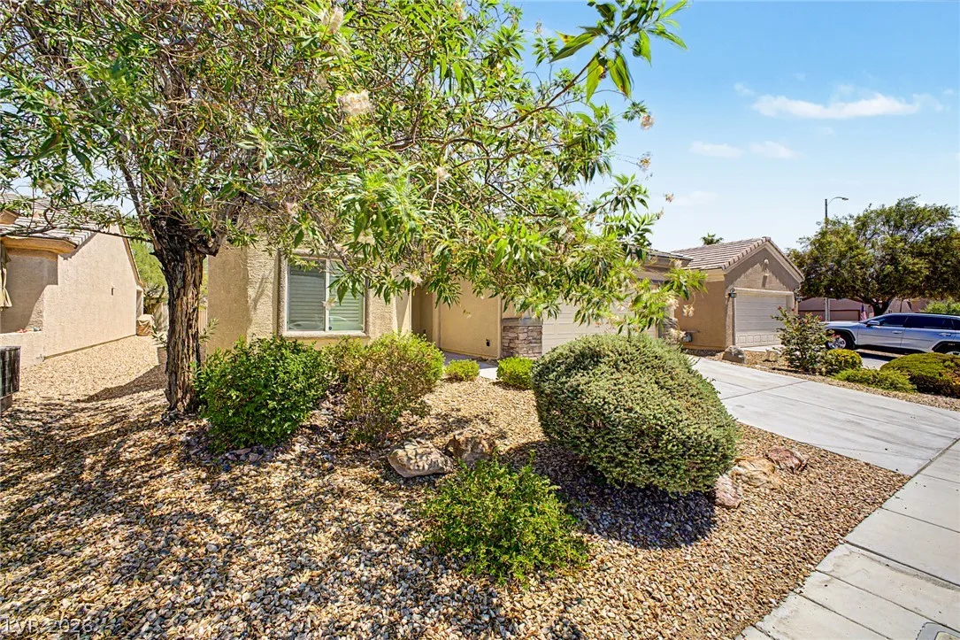 2708 Crested Ibis Avenue — photo 5