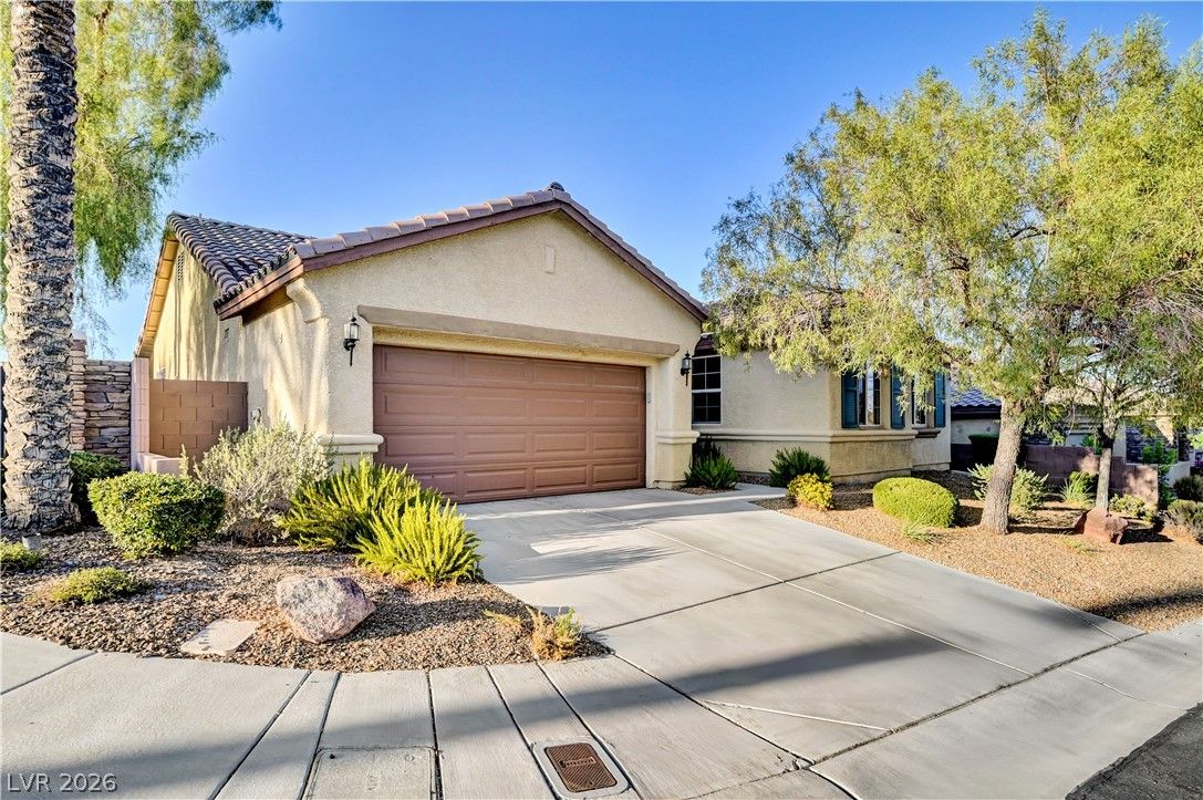 9928 Tradition Creek Avenue — photo 4